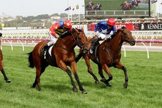 Rock 'n' Gold took out Saturday’s A$120,000 Listed Kensington Stakes (1000m) at Flemington.